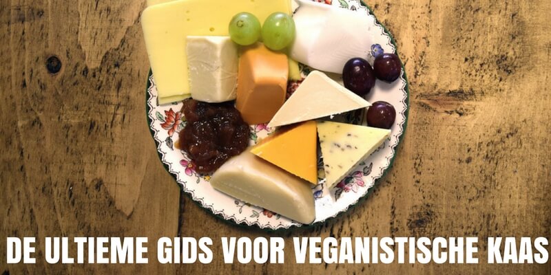 10 Nederland verkrijgbare veganistische kazen je moet proberen - PETA Nederland