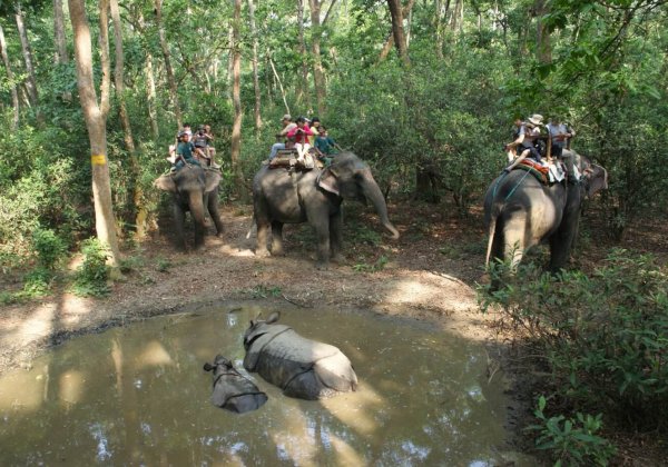 Filmmaker en fotograaf Jack Harries onthult de toeristische valkuilen die dieren mishandelen