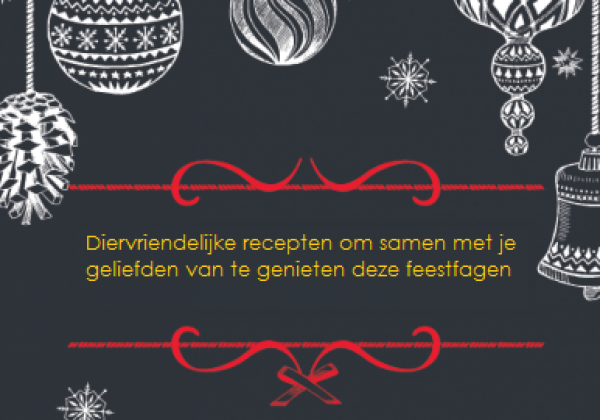 Heerlijke vegan recepten voor het kerstdiner