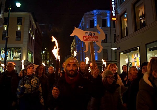 Geweldig nieuws: Noorwegen verbiedt pelsdierfokkerijen!