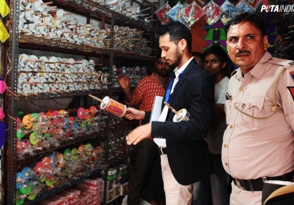 Politie van Delhi hoort van PETA India en neemt verboden manja in beslag bij winkels in de stad