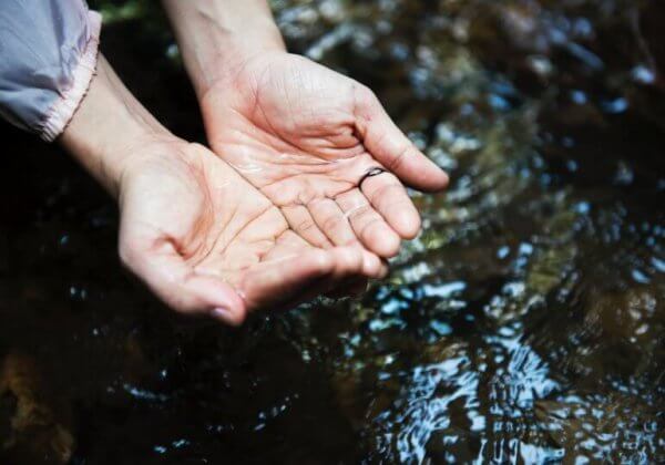 10 schokkende cijfers over water en het eten van vlees