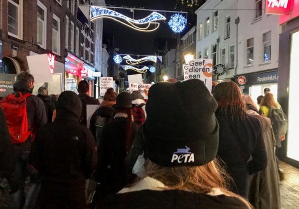 PETA sluit zich aan bij een stille tocht voor alle dierlijke slachtoffers die het afgelopen jaar zijn gedood